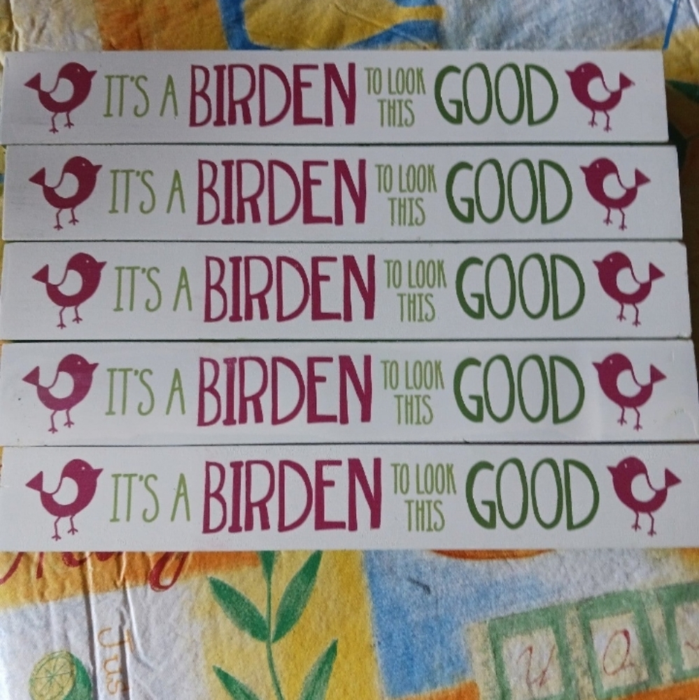 1 Novelty shelf sitter 🐥it’s a burden to look this good